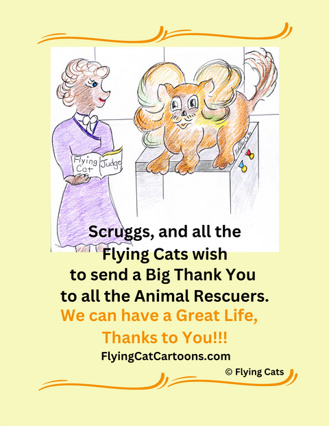 Flying Cat Cartoons